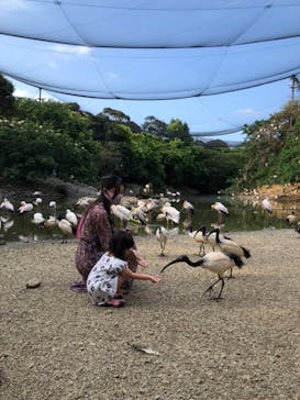 ネオパークオキナワに投稿された画像（2022/5/2）