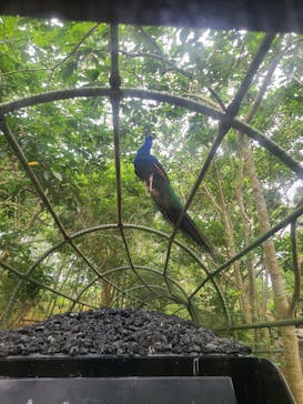 ネオパークオキナワに投稿された画像（2022/5/2）