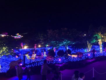 伊豆ぐらんぱる公園に投稿された画像（2022/5/2）