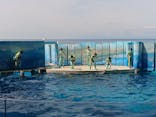 新江ノ島水族館に投稿された画像（2022/5/3）