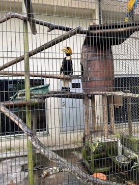 ネオパークオキナワに投稿された画像（2022/5/3）