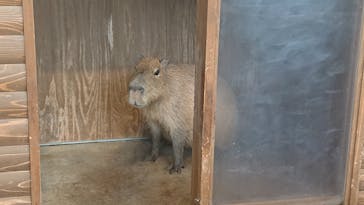 新江ノ島水族館に投稿された画像（2022/5/3）