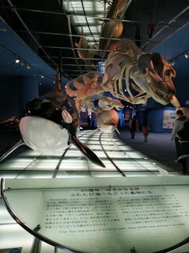 名古屋港水族館に投稿された画像（2022/5/3）