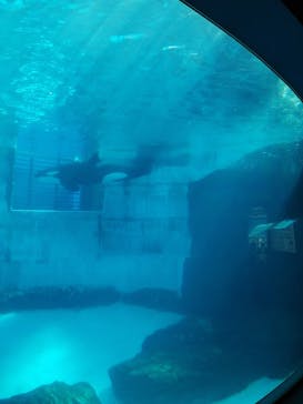 名古屋港水族館に投稿された画像（2022/5/3）