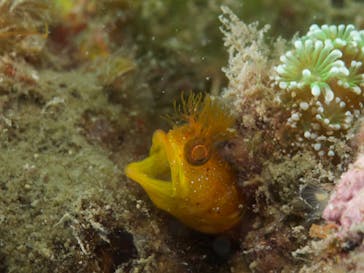 LOVE&BLUE（ラブアンドブルー）に投稿された画像（2022/5/3）