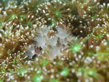 LOVE&BLUE（ラブアンドブルー）に投稿された画像（2022/5/3）