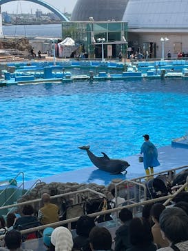 名古屋港水族館に投稿された画像（2022/5/3）