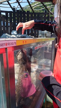 大分マリーンパレス水族館 「うみたまご」に投稿された画像（2022/5/3）