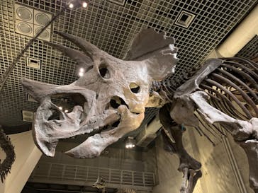 国立科学博物館に投稿された画像（2022/5/3）