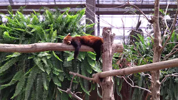 神戸どうぶつ王国に投稿された画像（2022/5/3）