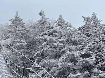 横手山・渋峠スキー場に投稿された画像（2022/5/3）
