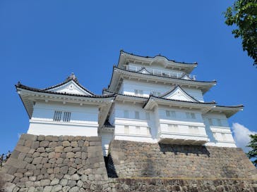 小田原城に投稿された画像（2022/5/3）