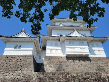 小田原城に投稿された画像（2022/5/3）