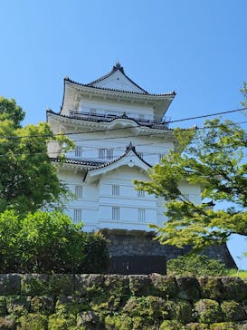 小田原城に投稿された画像（2022/5/3）
