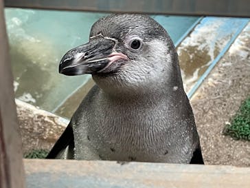 ゼロ距離水族館 伊勢シーパラダイスに投稿された画像（2022/5/3）