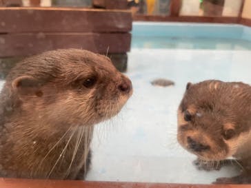 ゼロ距離水族館 伊勢シーパラダイスに投稿された画像（2022/5/3）