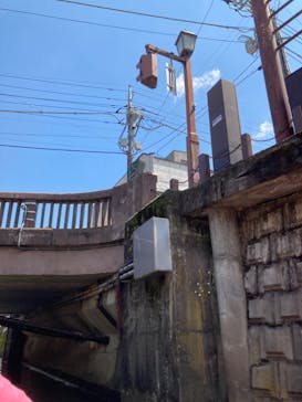 小江戸さわら 舟めぐりに投稿された画像（2022/5/3）