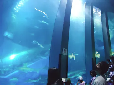 横浜・八景島シーパラダイスに投稿された画像（2022/5/3）