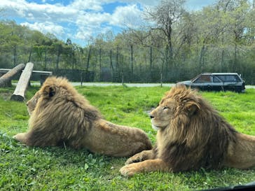 那須サファリパークに投稿された画像（2022/5/3）