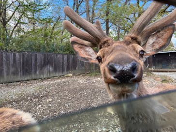 那須サファリパークに投稿された画像（2022/5/3）