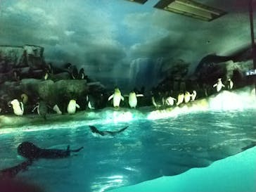 名古屋港水族館に投稿された画像（2022/5/3）