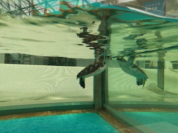 名古屋港水族館に投稿された画像（2022/5/3）