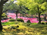 日本庭園　由志園に投稿された画像（2022/5/3）