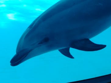 名古屋港水族館に投稿された画像（2022/5/3）