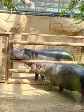 神戸どうぶつ王国に投稿された画像（2022/5/3）