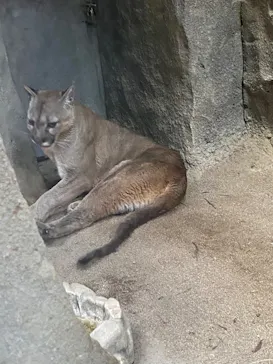 神戸どうぶつ王国に投稿された画像（2022/5/3）