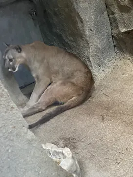 神戸どうぶつ王国に投稿された画像（2022/5/3）