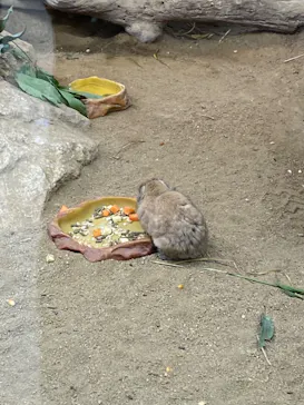 神戸どうぶつ王国に投稿された画像（2022/5/3）