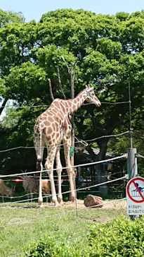 天王寺動物園に投稿された画像（2022/5/3）