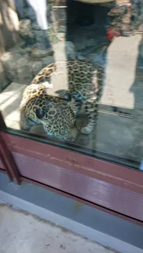 天王寺動物園に投稿された画像（2022/5/3）
