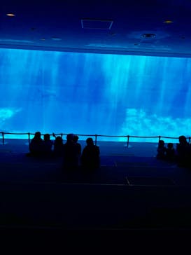 名古屋港水族館に投稿された画像（2022/5/3）