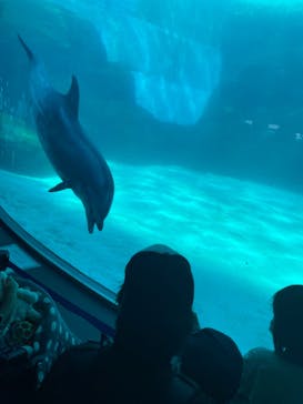 名古屋港水族館に投稿された画像（2022/5/3）