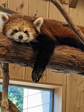 伊豆シャボテン動物公園に投稿された画像（2022/5/3）