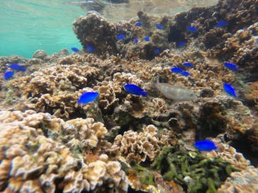 武藤潜水に投稿された画像（2022/5/3）