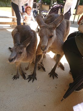 長崎バイオパークに投稿された画像（2022/5/3）