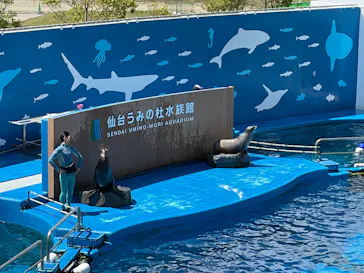仙台うみの杜水族館に投稿された画像（2022/5/3）