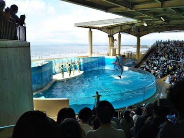 新江ノ島水族館に投稿された画像（2022/5/3）