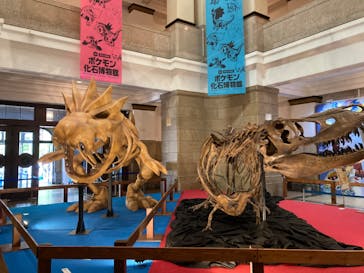 国立科学博物館　特別企画展「ポケモン化石博物館」に投稿された画像（2022/5/3）