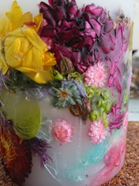 ずこうしつ〜sugamo〜に投稿された画像（2022/5/3）