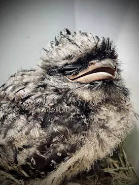 神戸どうぶつ王国に投稿された画像（2022/5/3）