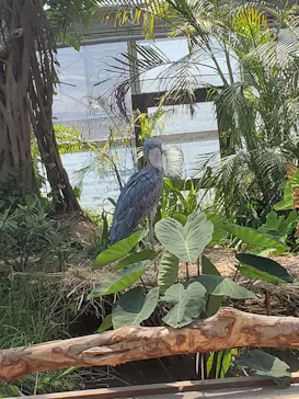 神戸どうぶつ王国に投稿された画像（2022/5/3）