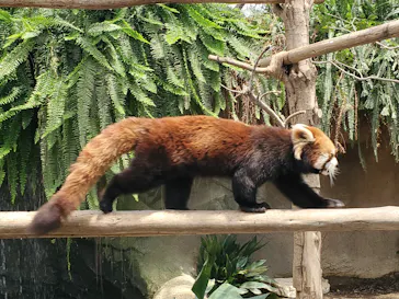 神戸どうぶつ王国に投稿された画像（2022/5/3）