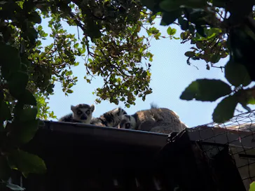 神戸どうぶつ王国に投稿された画像（2022/5/3）