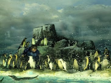 名古屋港水族館に投稿された画像（2022/5/3）