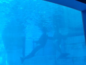 名古屋港水族館に投稿された画像（2022/5/3）