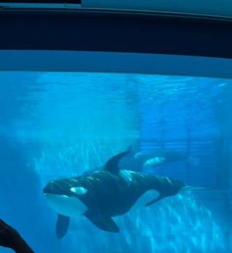 名古屋港水族館に投稿された画像（2022/5/3）